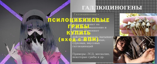 тгк Новокубанск