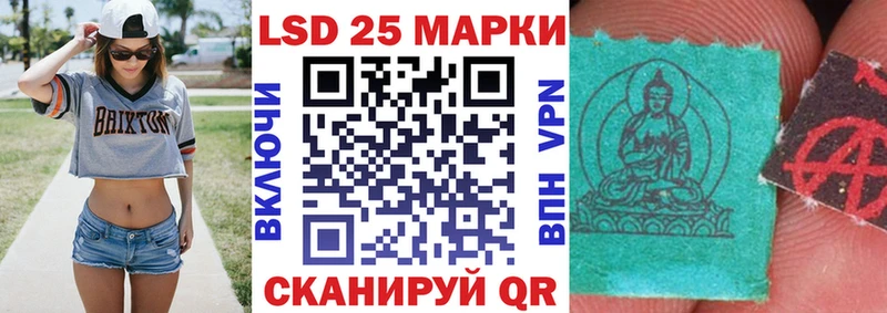 дарнет шоп  Курчатов  hydra как зайти  Марки 25I-NBOMe 1500мкг 