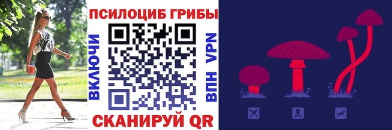 Галлюциногенные грибы Psilocybine cubensis  как найти закладки  Курчатов 